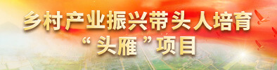 乡村产业振兴带头人培育“头雁”项目